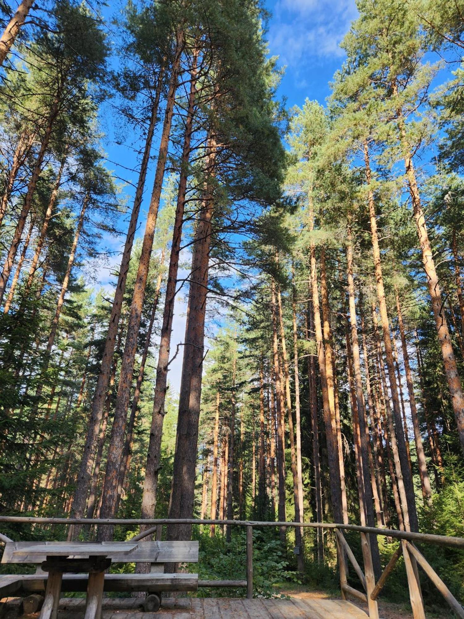 One Bedroom Apartment Pirin Lodge 반스코 외부 사진